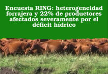Encuesta RING: heterogeneidad forrajera y 22% de productores afectados severamente por el déficit hídrico