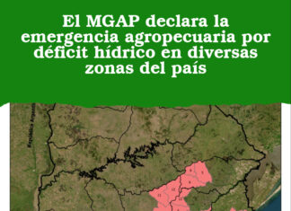 El MGAP declara la emergencia agropecuaria por déficit hídrico en diversas zonas del país