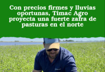 Con precios firmes y lluvias oportunas, Timac Agro proyecta una fuerte zafra de pasturas en el norte