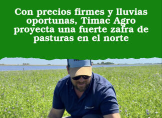 Con precios firmes y lluvias oportunas, Timac Agro proyecta una fuerte zafra de pasturas en el norte