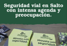 Seguridad vial en Salto con intensa agenda y preocupación.