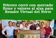 Febrero cerró con mercado firme y valores al alza para Remate Virtual del Norte
