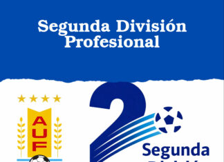 Segunda División Profesional