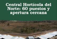 Central Hortícola del Norte: 60 puestos y apertura cercana