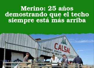 Merino: 25 años demostrando que el techo siempre está más arriba