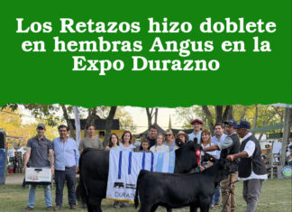 Los Retazos hizo doblete en hembras Angus en la Expo Durazno