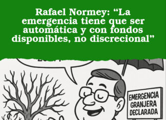 Rafael Normey: “La emergencia tiene que ser automática y con fondos disponibles, no discrecional”