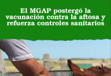 El MGAP postergó la vacunación contra la aftosa y refuerza controles sanitarios