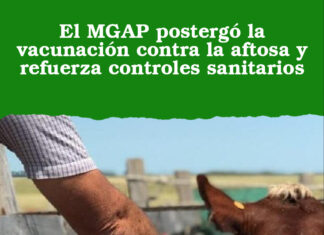 El MGAP postergó la vacunación contra la aftosa y refuerza controles sanitarios