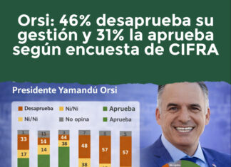 CIFRA: Encuesta sobre aprobación de la gestión de Orsi