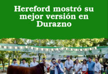 Hereford mostró su mejor versión en Durazno