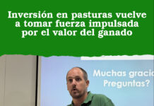Inversión en pasturas vuelve a tomar fuerza impulsada por el valor del ganado