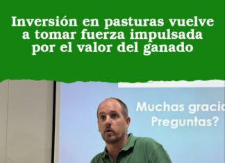 Inversión en pasturas vuelve a tomar fuerza impulsada por el valor del ganado