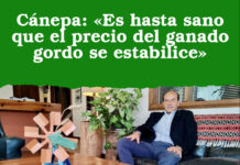 Cánepa: «Es hasta sano que el precio del ganado gordo se estabilice»