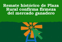 Remate histórico de Plaza Rural confirma firmeza del mercado ganadero