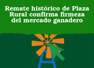 Remate histórico de Plaza Rural confirma firmeza del mercado ganadero