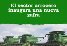 El sector arrocero inaugura una nueva zafra