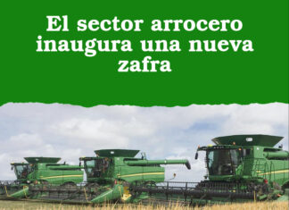 El sector arrocero inaugura una nueva zafra