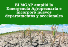 El MGAP amplió la Emergencia Agropecuaria e incorporó nuevos departamentos y seccionales