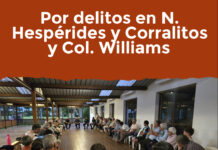 Por delitos en N. Hespérides y Corralitos y Col. Williams