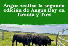Angus realiza la segunda edición de Angus Day en Treinta y Tres