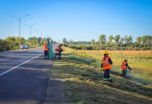 Previo a Turismo: podas y limpieza en Ruta 3