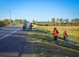 Previo a Turismo: podas y limpieza en Ruta 3