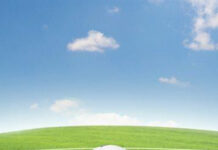 Entre el reglamento y la red