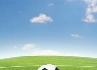 Entre el reglamento y la red