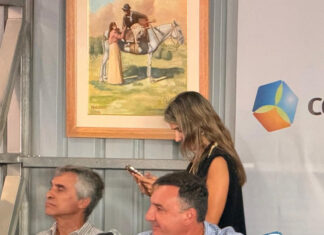 Cambios en multas de tránsito