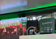 Desde este martes y hasta el viernes Plaza Rural ofrece más de 27 mil vacunos