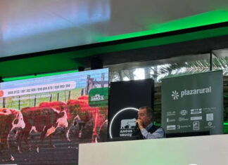 Desde este martes y hasta el viernes Plaza Rural ofrece más de 27 mil vacunos