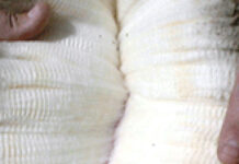 Mercado lanero interno: baja actividad y foco en Merino