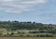 Fuerte movimiento en el mercado de tierras rurales: 2025 marcó récord histórico en precios