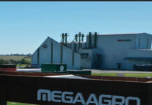 Más de 1.600 vacunos ofrece Megaagro este miércoles y jueves en Pantalla Uruguay