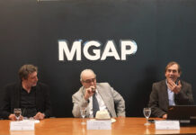 Censo Agropecuario 2024 reflejó menos productores, más escala y caída de la población rural