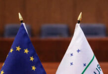 La Unión Europea aplicará en forma provisional el acuerdo con el Mercosur desde el próximo 1º de mayo