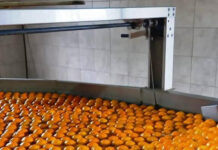 Salto y Entre Ríos impulsan proyecto binacional para fortalecer la cadena citrícola