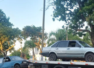 Salto trasladó vehículos incautados y despejó la Aduana