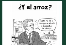 ¿Y el arroz?