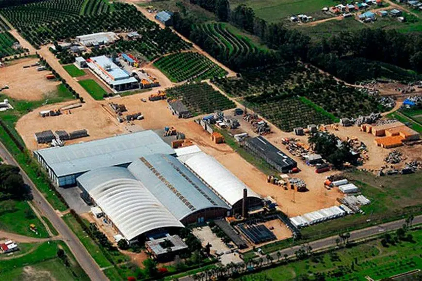 Naranja, Citrus, Citricultura