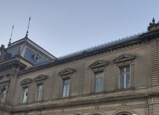 Defensa de la Estación Central: un movimiento ciudadano que busca reactivar el tren de pasajeros en Uruguay