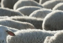 Demanda firme impulsa al IME antes del receso