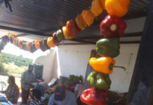 Feria de Colonia Osimani invita a una nueva edición con productos locales y propuestas familiares