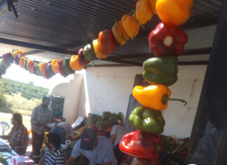 Feria de Colonia Osimani invita a una nueva edición con productos locales y propuestas familiares