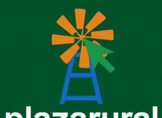 Plaza Rural: firme arranque del remate con valores sostenidos y alta demanda