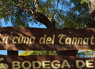 Salto, cuna del Tannat: comienza una semana para celebrar nuestra identidad y legado