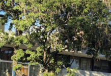 Mejoras en la Biblioteca Departamental «Felisa Lisasola»: servicios afectados por obras