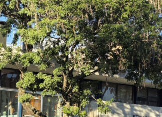 Mejoras en la Biblioteca Departamental «Felisa Lisasola»: servicios afectados por obras