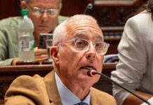 Interpelación al ministro Negro: seguridad, narcotráfico y el debate sobre el Plan Nacional en el Senado